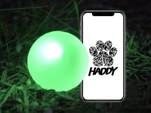Pelota para perros Haddy
