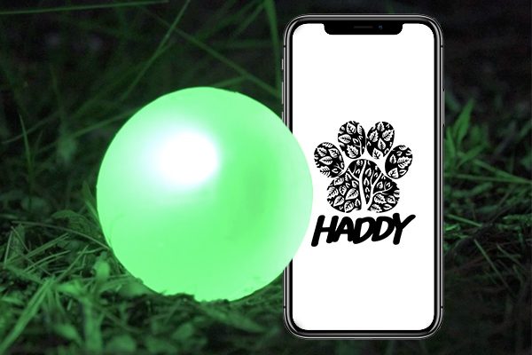 Haddy: la pelota con luz y GPS ideal para tu perro
