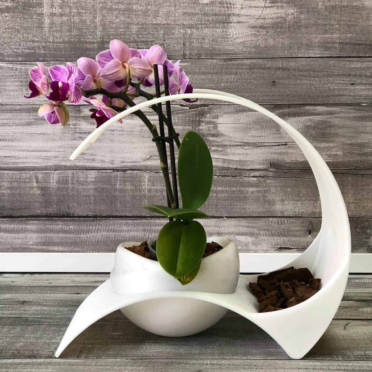 Macetero jardinería On Gargen