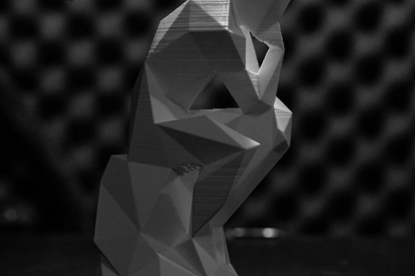 La reproducción 3D
